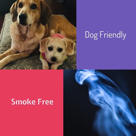 NWT Baby Gap Logo Raglan 2-in-1 One Piece Romper - Picture 6 of 9